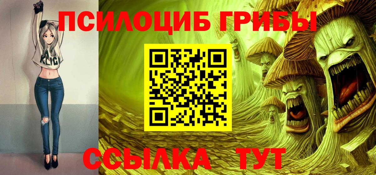 Галлюциногенные грибы MAGIC MUSHROOMS  хочу   Галлюциногенные грибы Magic Shrooms  Архангельск  Вход с VPN 