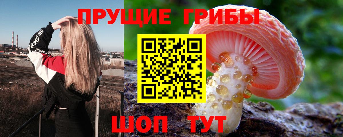 Псилоцибиновые грибы мицелий Архангельск